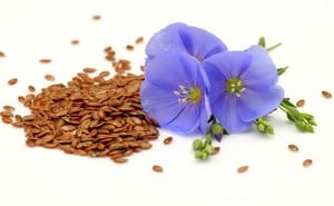Flax seed is an excellent source of omega-3 ALA's.
