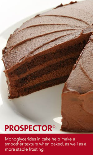 Many cakes, like this chocolate cake, contain monoglycerides, which help create a smooth texture. Learn more in the Prospector Knowledge Center.