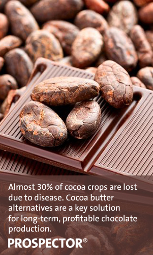 What is cocoa butter? Learn about the ingredient, and its alternatives, in the Prospector Knowledge Center.