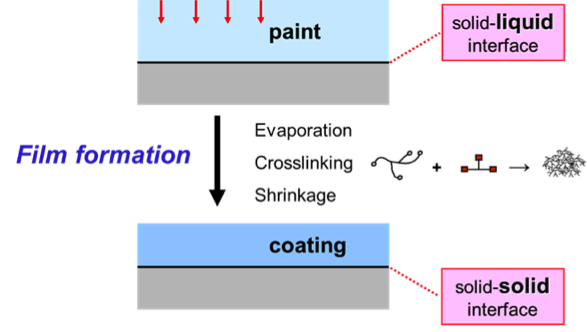 Film formation: a liquid paint transforms into a solid coating.