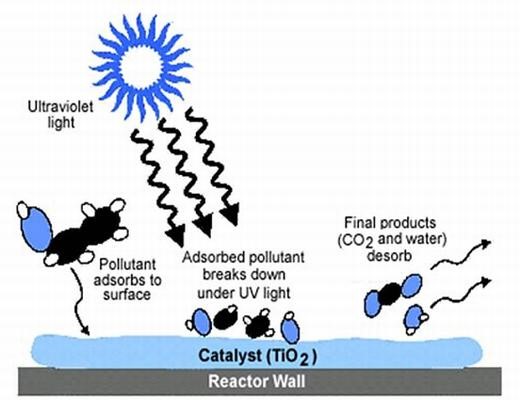 Figure 7. Catalysis of pollutants