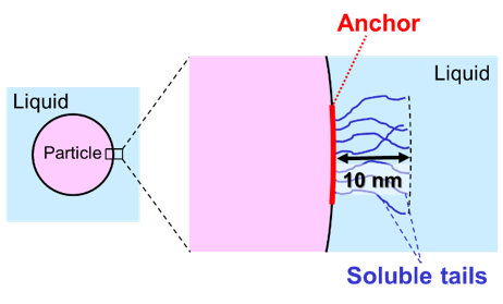 Soluble tails at the surface of a particle. Learn more about steric stabilization in the Prospector Knowledge Center.