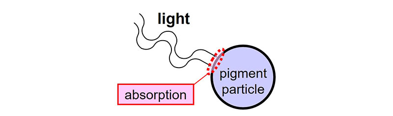 Graphic showing Absorption of light by a pigment particle