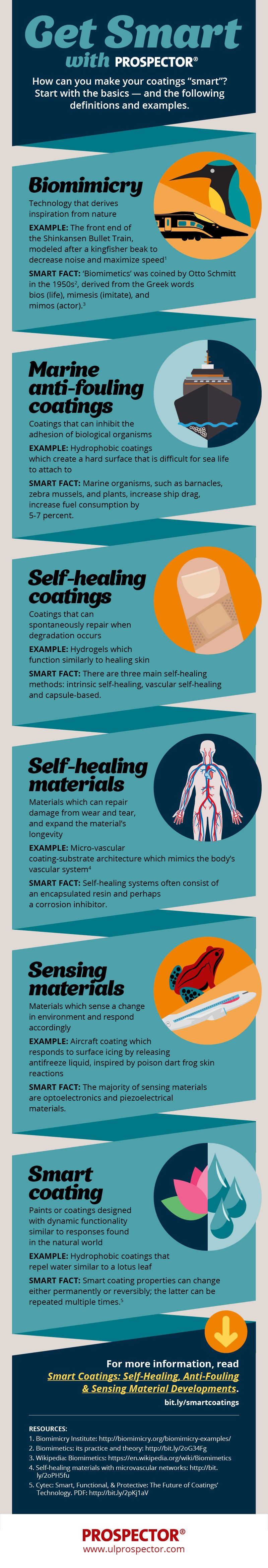 Smart Coatings glossary - this infographic explains some of the core concepts critical to the formulation of coatings that adjust and adapt to their environment. Learn more in the Prospector Knowledge Center.