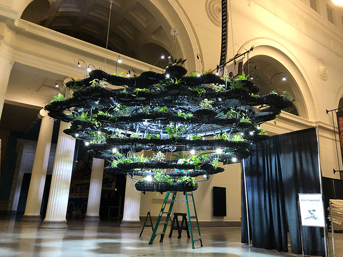 The Nature Clouds installation in Chicago’s Field Museum - read about other 3D-printed architectural projects in the UL Prospector Knowledge Center.