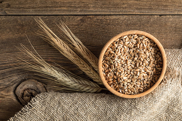 Photo of grains - Learn more about food fortification