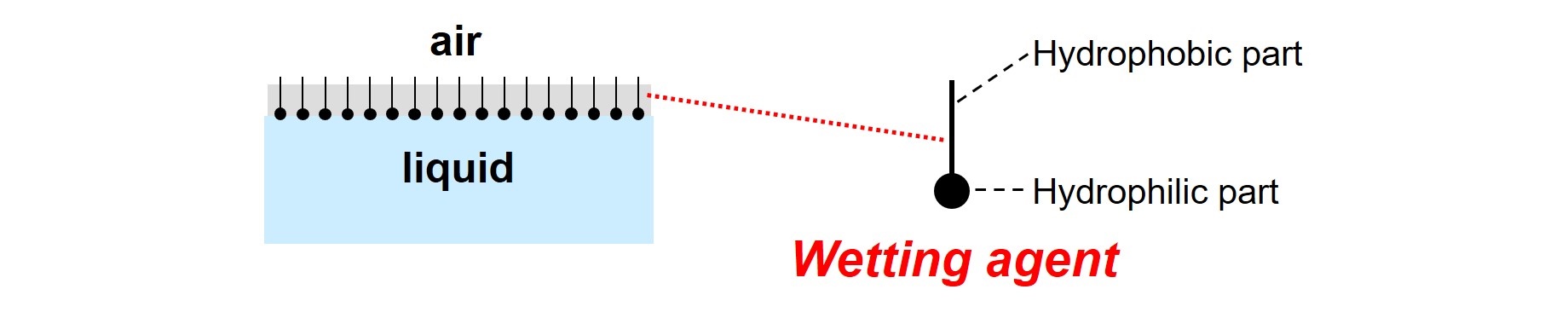 Wetting agent molecules adsorb and orient at a liquid-air interface.