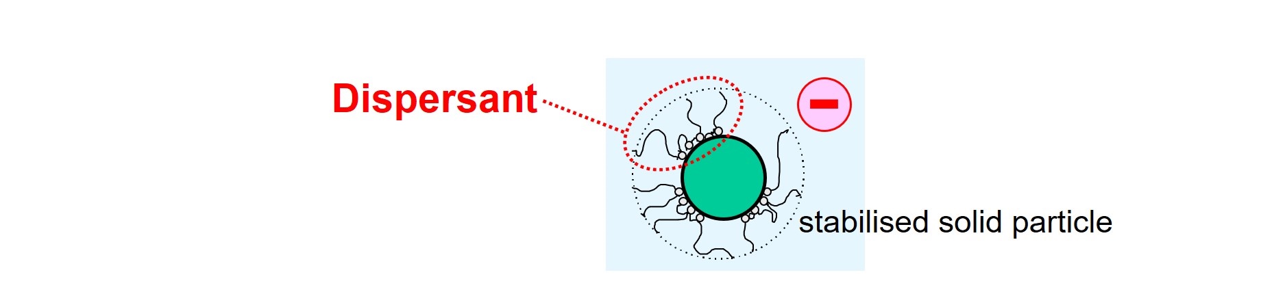 Dispersant molecules adsorbed at the interface of a solid particle and liquid.