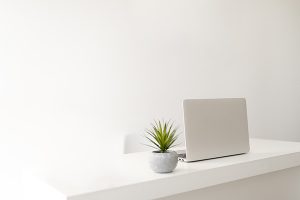 white table and laptop with plant - Learn more about brilliant white pigments
