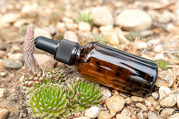 brown dropper bottle in a natural rock and greenery surrounding