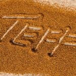 Teff is an ancient grain with great nutritional value but comes with some food formulation challenges. Learn more in the Prospector Knowledge Center.