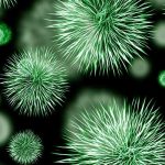 Microbes - learn about different types of antimicrobial materials and how they are used in antimicrobial coating formulation in the Knowledge Center.