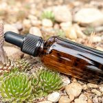 brown dropper bottle in a natural rock and greenery surrounding