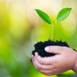 a child's hands holding a small plant in soil