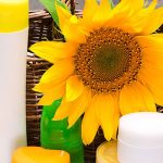 Sunflower amidst beauty care products